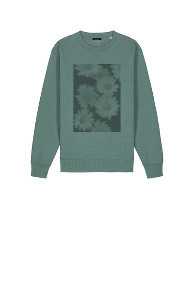 Daisies Men Green Bay