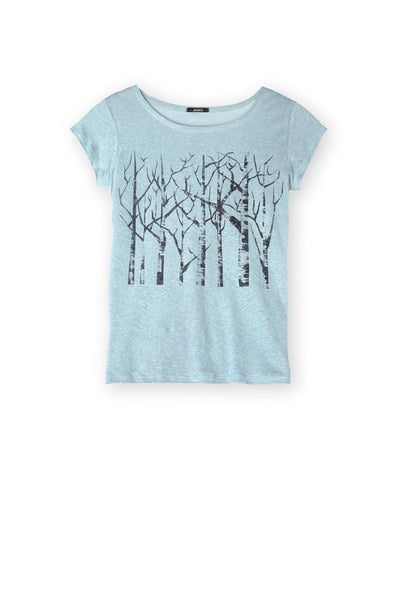 Silver Birch Trees Ice Blue